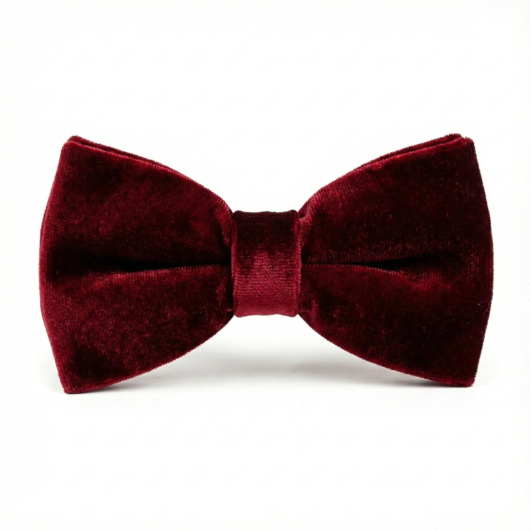 Papion VIȘINIU catifea